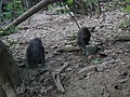 DSC01289.JPG