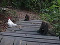 DSC01290.JPG