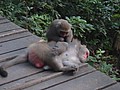 DSC01291.JPG