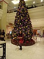 DSC00398.JPG
