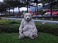 DSC00445.JPG
