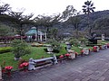 DSC00446.JPG