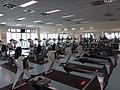 DSC00465.JPG