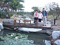 DSC00113.JPG