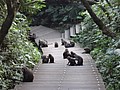 DSC00640.JPG