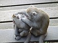 DSC00643.JPG