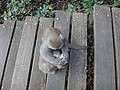 DSC00645.JPG