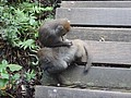 DSC00646.JPG