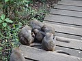 DSC00647.JPG