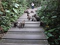 DSC00648.JPG