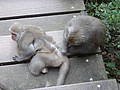DSC00649.JPG