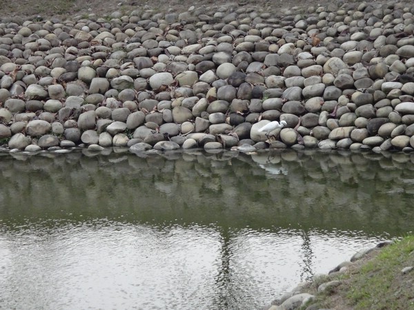DSC00698.JPG