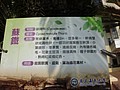 DSC00671.JPG