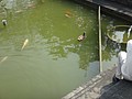 DSC00715.JPG