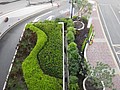 DSC00853.JPG