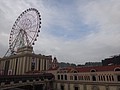 DSC01690.JPG