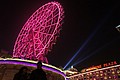 DSC07447.JPG