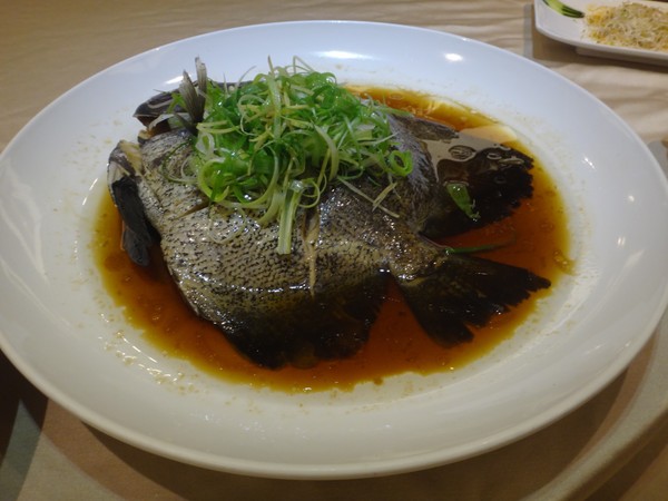 DSC02204.JPG