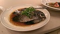 DSC02229.jpg
