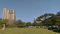 57307.jpg