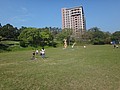 DSC02323.JPG