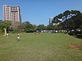 DSC02324.JPG