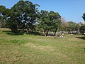 DSC02330.JPG