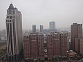 DSC02387.JPG