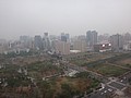 DSC02390.JPG