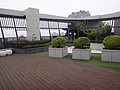 DSC02393.JPG