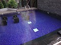 DSC02396.JPG