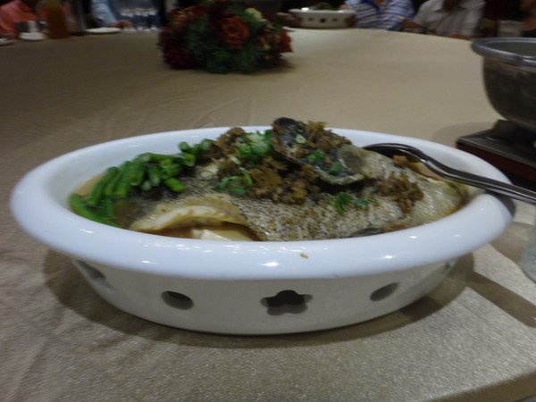 DSC02624.JPG