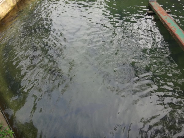 DSC02656.JPG