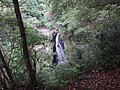 DSC02648.JPG