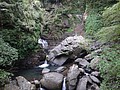 DSC02649.JPG
