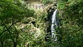 DSC02653-2.jpg