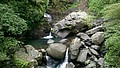 DSC02653-5.jpg