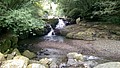 DSC02653-7.jpg