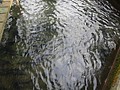 DSC02655.JPG