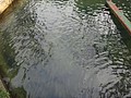 DSC02656.JPG