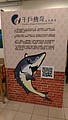 DSC02657-4.jpg