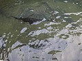 DSC02657.JPG