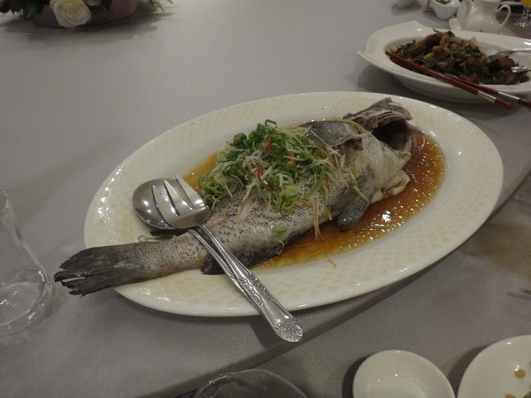 DSC02735.JPG