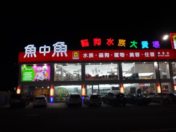 DSC02786.JPG
