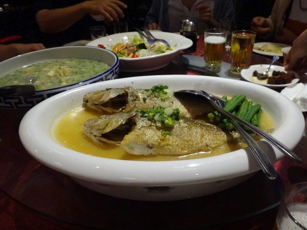 DSC02848.JPG