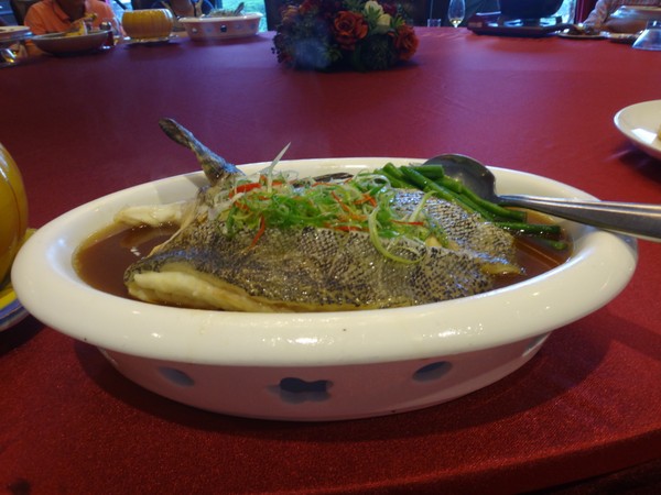 DSC02873.JPG