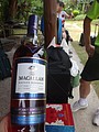 DSC02923.JPG