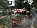 DSC02930.JPG