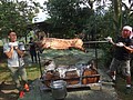 DSC02952.JPG