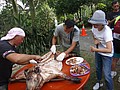 DSC02955.JPG